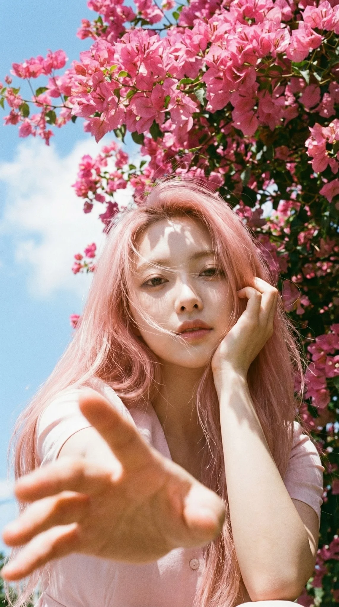 Pink Bougainvillea Low Angle Pink Hair Windy Floral Wall Dreamy Portrait