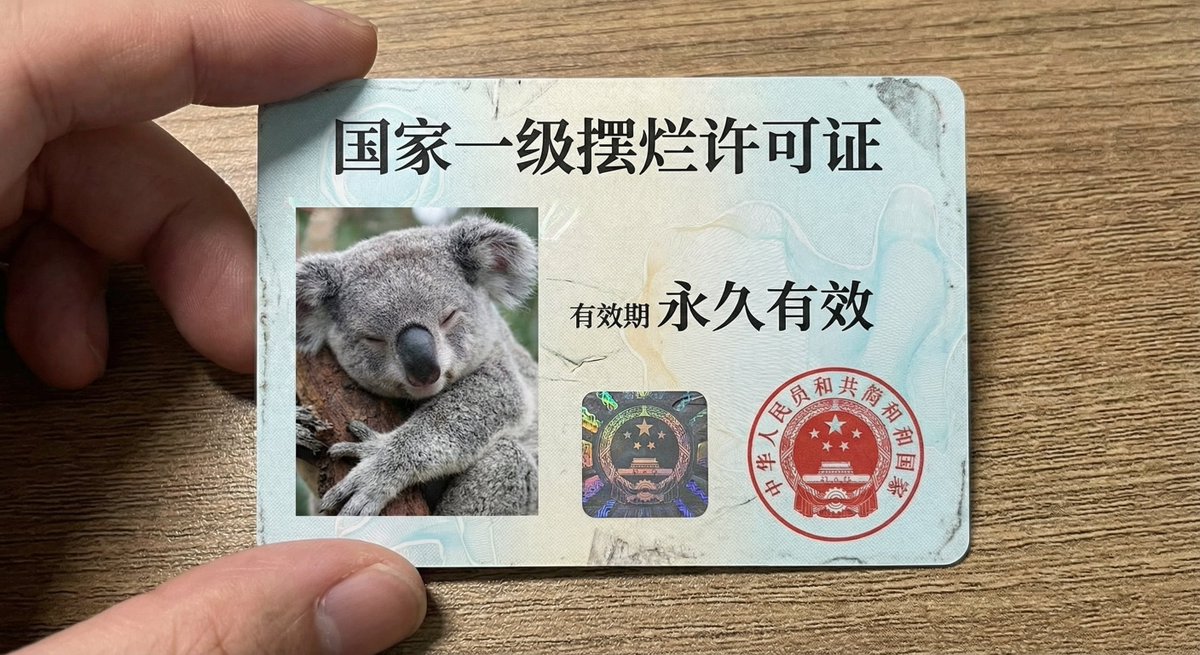 National Level Procrastination Permit