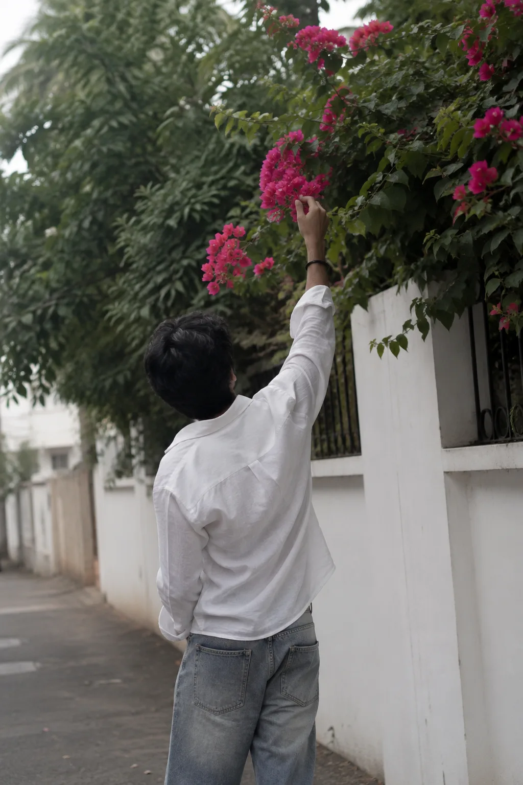 Ultra-realistic candid street photography of a young man photographed from behind, reaching up to gently touch vibrant pink bougainvillea
