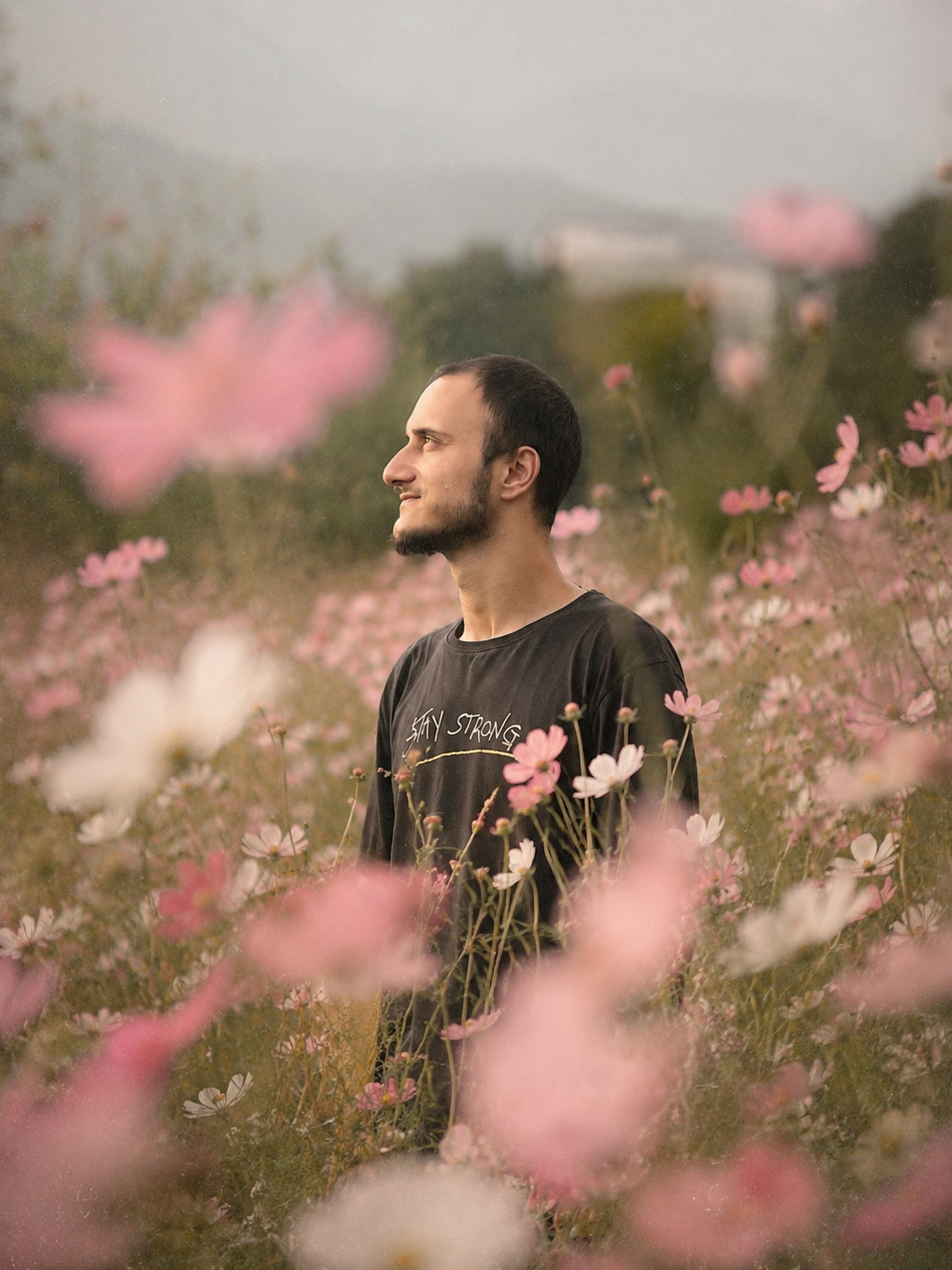 Using my uploaded photo as the main reference, create a dreamy, etherea portrait in a cosmos flower field.