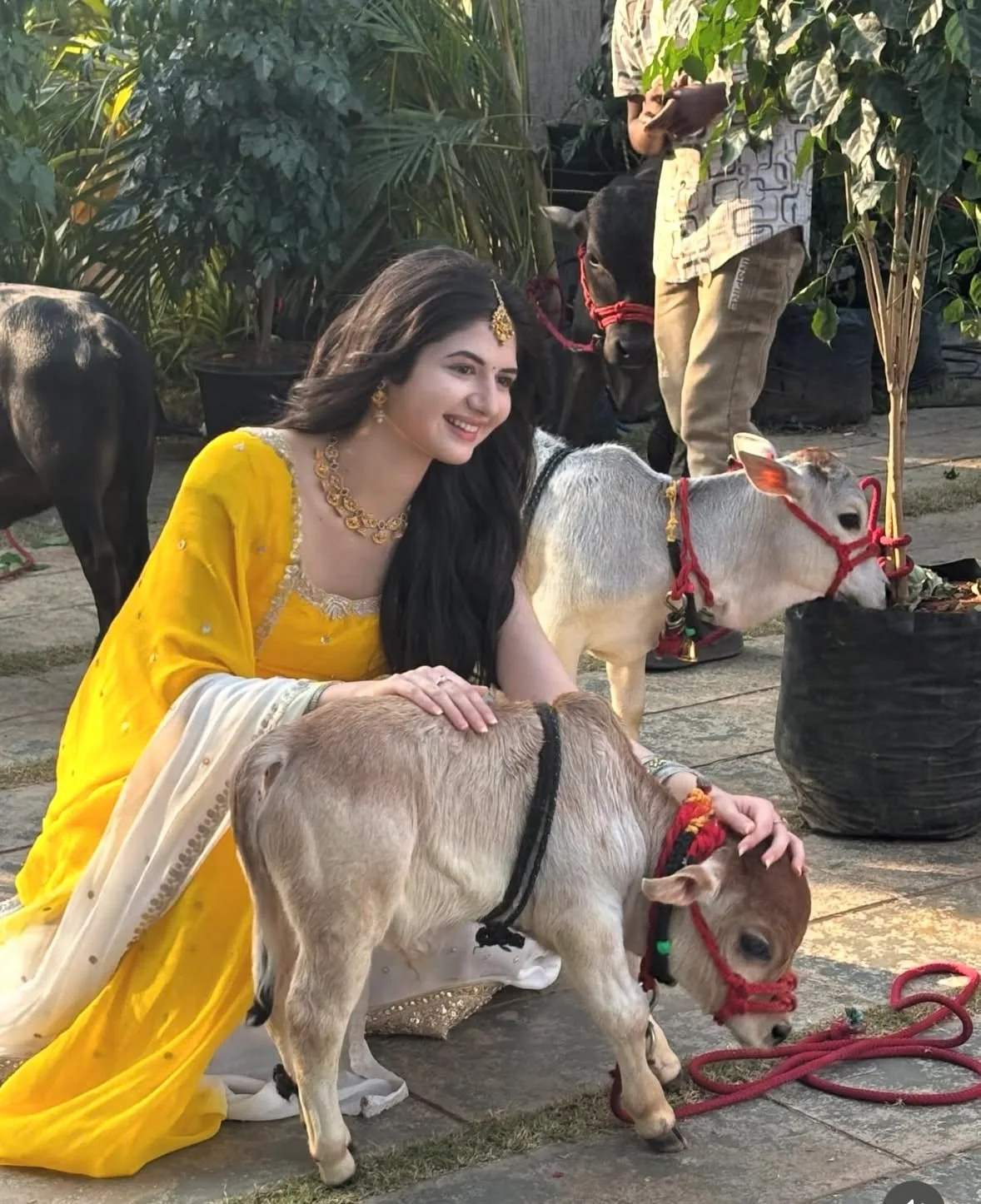A beautiful young Indian woman wearing a vibrant yellow traditional salwar suit with delicate embroidery and a flowing cream dupatta,